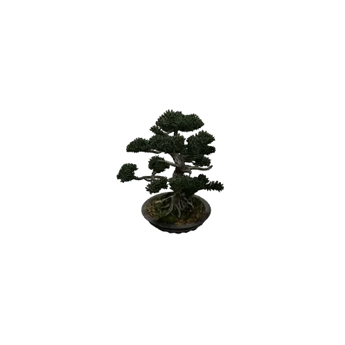 3D model generated from a photo of a bonsai, pro mode