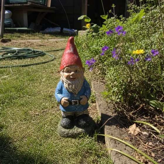 The original image uploaded for the garden gnome on a lawn