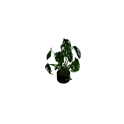3D model generated from a photo of a leafy houseplant